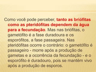 Como você pode perceber, tanto as briófitas
 como as pteridófitas dependem da água
 para a fecundação. Mas nas briófitas, o
 gametófito é a fase duradoura e os
 esporófitos, a fase passageira. Nas
 pteridófitas ocorre o contrário: o gametófito é
 passageiro - morre após a produção de
 gametas e a ocorrência da fecundação - e o
 esporófito é duradouro, pois se mantém vivo
 após a produção de esporos.
 