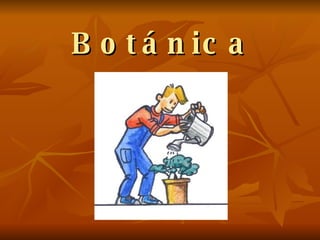 Botánica 