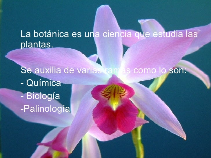 Botanica