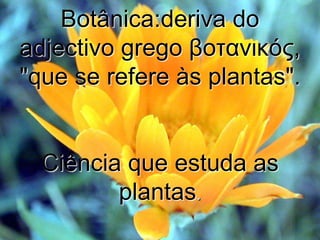 Botânica:deriva do
adjectivo grego βοτανικός,
"que se refere às plantas".
Ciência que estuda as
plantas.
 