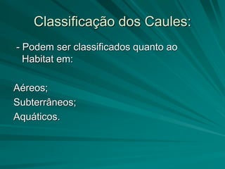 Classificação dos Caules:
- Podem ser classificados quanto ao
Habitat em:
Aéreos;
Subterrâneos;
Aquáticos.
 