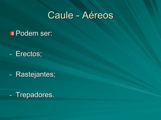 Caule - Aéreos
Podem ser:
- Erectos;
- Rastejantes;
- Trepadores.
 
