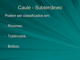 Caule - Subterrâneo
Podem ser classificados em:
- Rizomas;
- Tubérculos;
- Bolbos.
 