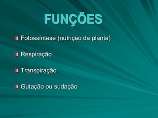Fotossíntese (nutrição da planta)
Respiração
Transpiração
Gutação ou sudação
 