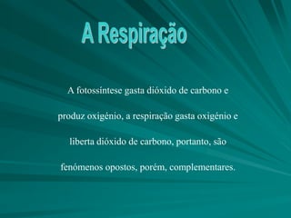 A fotossíntese gasta dióxido de carbono e
produz oxigénio, a respiração gasta oxigénio e
liberta dióxido de carbono, portanto, são
fenómenos opostos, porém, complementares.
 