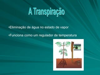 •Eliminação de água no estado de vapor
•Funciona como um regulador de temperatura
 