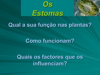 Os
Estomas
Qual a sua função nas plantas?
Como funcionam?
Quais os factores que os
influenciam?
 