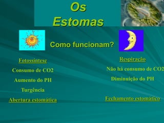 Os
Estomas
Como funcionam?
Fotossíntese
Consumo de CO2
Aumento do PH
Turgência
Abertura estomática
Respiração
Não há consumo de CO2
Diminuição do PH
Fechamento estomático
 