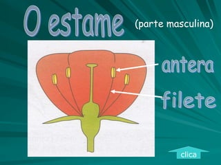 (parte masculina)
clica
 