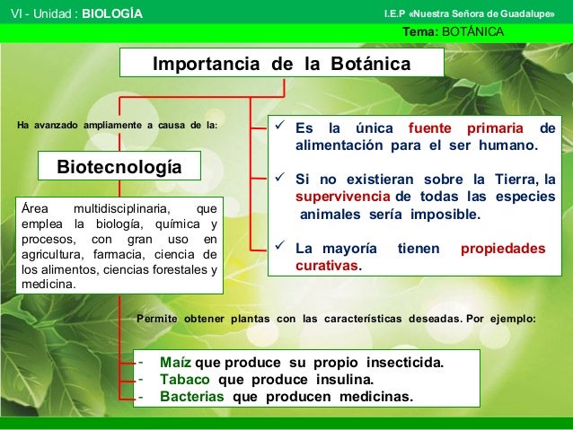 Cual Es La Importancia De La Botanica En La Agronomia