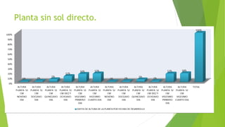 Planta sin sol directo.
 