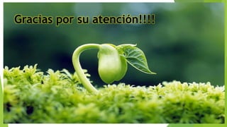 Gracias por su atención!!!!
 