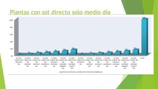 Plantas con sol directo solo medio día
 