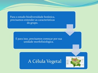 Para o estudo biodiversidade botânica,
precisamos entender as características
do grupo.
E para isso, precisamos começar por sua
unidade morfofisiológica.
A Célula Vegetal
 