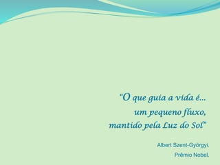“O que guia a vida é...
um pequeno fluxo,
mantido pela Luz do Sol”
Albert Szent-Györgyi.
Prêmio Nobel.
 