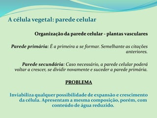 A célula vegetal: parede celular
Organizaçãoda parede celular - plantas vasculares
Parede primária: É a primeira a se formar. Semelhante as citações
anteriores.
Parede secundária: Caso necessário, a parede celular poderá
voltar a crescer, se dividir novamente e suceder a parede primária.
PROBLEMA
Inviabiliza qualquer possibilidade de expansão e crescimento
da célula. Apresentam a mesma composição, porém, com
conteúdo de água reduzido.
 