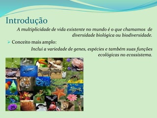 Introdução
A multiplicidade de vida existente no mundo é o que chamamos de
diversidade biológica ou biodiversidade.
➢ Conceito mais amplo:
Inclui a variedade de genes, espécies e também suas funções
ecológicas no ecossistema.
 