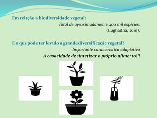 Em relação a biodiversidade vegetal:
Total de aproximadamente 400 mil espécies.
(Lughadha, 2010).
E o que pode ter levado a grande diversificação vegetal?
Importante característica adaptativa
A capacidade de sintetizar o próprio alimento!!!
 