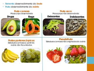• Semente: desenvolvimento do óvulo
• Fruto: desenvolvimento do ovário
Fruto carnoso
Mesocarpo desenvolvido
Drupa Baga
Fruto seco
Mesocarpo não desenvolvido
Deiscentes Indeiscentes
Pseudofruto
Estruturascarnosasnão originadasdo ovário
Frutospartenocárpicos
Estruturascarnosasa partirde
ovário não fecundados
 
