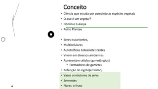 Conceito
• Ciência que estuda por completo as espécies vegetais
• O que é um vegetal?
• Domínio Eukarya
• Reino Plantae
• Seres eucariontes,
• Multicelulares
• Autotróficos Fotossintetizantes
• Vivem em diversos ambientes
• Apresentam células (gametângios)
• Formadores de gametas
• Retenção do zigoto(embrião)
• Vasos condutores de seiva
• Sementes
• Flores e fruto
 