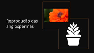 Reprodução das
angiospermas
 