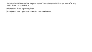 • A Flor produz micrósporos e megásporos- formando respectivamente os GAMETÓFITOS
MASCULINOS E FEMININOS
• Gametófito masc. – grão de pólen
• Gametófito fem. – presente dentro do saco embrionário
 