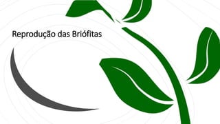 Reprodução das Briófitas
 