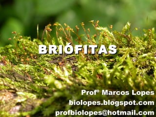 BRIÓFITASBRIÓFITAS
Profº Marcos Lopes
biolopes.blogspot.com
profbiolopes@hotmail.com
 