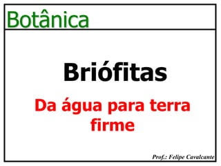 Prof.: Felipe Cavalcante
Botânica
Briófitas
Da água para terra
firme
 