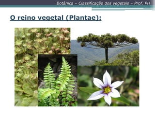 Botânica – Classificação dos vegetais – Prof. PH

O reino vegetal (Plantae):

 