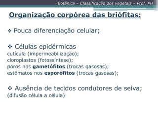Botânica – Classificação dos vegetais – Prof. PH

Organização corpórea das briófitas:
 Pouca diferenciação celular;

 Células epidérmicas
cutícula (impermeabilização);
cloroplastos (fotossíntese);
poros nos gametófitos (trocas gasosas);
estômatos nos esporófitos (trocas gasosas);

 Ausência de tecidos condutores de seiva;
(difusão célula a célula)

 