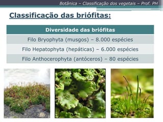 Botânica – Classificação dos vegetais – Prof. PH

Classificação das briófitas:
Diversidade das briófitas

Filo Bryophyta (musgos) – 8.000 espécies
Filo Hepatophyta (hepáticas) – 6.000 espécies
Filo Anthocerophyta (antóceros) – 80 espécies

 