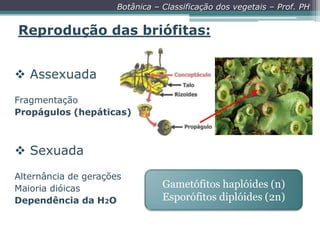 Botânica – Classificação dos vegetais – Prof. PH

Reprodução das briófitas:
 Assexuada
Fragmentação
Propágulos (hepáticas)

 Sexuada
Alternância de gerações
Maioria dióicas
Dependência da H2O

Gametófitos haplóides (n)
Esporófitos diplóides (2n)

 