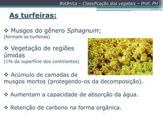 Botânica – Classificação dos vegetais – Prof. PH

As turfeiras:
 Musgos do gênero Sphagnum;
(formam as turfeiras)

 Vegetação de regiões
úmidas
(1% da superfície dos continentes)

 Acúmulo de camadas de

musgos mortos (protegendo-os da decomposição).
 Aumentam a capacidade de absorção da água.
 Retenção de carbono na forma orgânica.

 