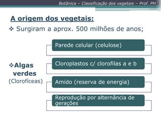 Botânica – Classificação dos vegetais – Prof. PH

A origem dos vegetais:
 Surgiram a aprox. 500 milhões de anos;
Parede celular (celulose)

Algas
verdes

Cloroplastos c/ clorofilas a e b

(Clorofíceas)

Amido (reserva de energia)
Reprodução por alternância de
gerações

 