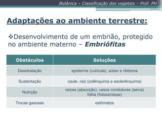 Botânica – Classificação dos vegetais – Prof. PH

Adaptações ao ambiente terrestre:
Desenvolvimento de um embrião, protegido
no ambiente materno – Embriófitas
Obstáculos

Soluções

Desidratação

epiderme (cutícula), súber e ritidoma

Sustentação

caule, raiz (colênquima e esclerênquima)

Nutrição

raízes (absorção), vasos condutores (seiva)
folha (fotossíntese)

Trocas gasosas

estômatos

 