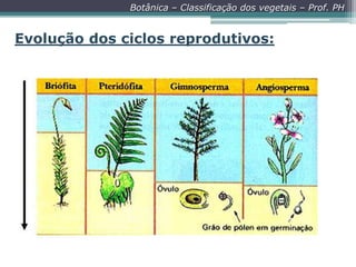 Botânica – Classificação dos vegetais – Prof. PH

Evolução dos ciclos reprodutivos:

 