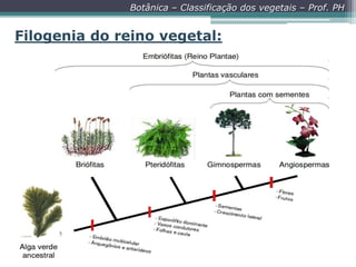 Botânica – Classificação dos vegetais – Prof. PH

Filogenia do reino vegetal:

 