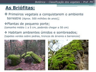 Botânica – Classificação dos vegetais – Prof. PH

As Briófitas:
 Primeiros vegetais a conquistarem o ambiente
terrestre

(Aprox. 500 milhões de anos);

Plantas de pequeno porte;
(tamanho médio 1 a 5 cm, podendo chegar a 50 cm)

 Habitam ambientes úmidos e sombreados;
(tapetes verdes sobre pedras, troncos de árvores e barrancos)

 