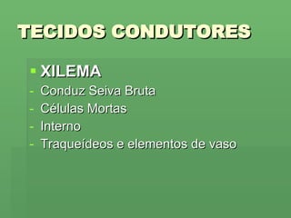 TECIDOS CONDUTORES XILEMA Conduz Seiva Bruta Células Mortas Interno Traqueídeos e elementos de vaso 
