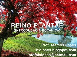 REINO PLANTAE
(INTRODUÇÃO A BOTÂNICA)



              Prof. Marcos Lopes
           biolopes.blogspot.com
       profbiolopes@hotmail.com
 