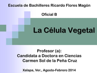 La Célula Vegetal
Escuela de Bachilleres Ricardo Flores Magón
Oficial B
Xalapa, Ver., Agosto-Febrero 2014
Profesor (a):
Candidata a Doctora en Ciencias
Carmen Sol de la Peña Cruz
 