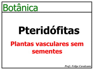 Prof.: Felipe Cavalcante
Botânica
Pteridófitas
Plantas vasculares sem
sementes
 