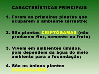 CARACTERÍSTICAS PRINCIPAIS
1. Foram as primeiras plantas que
ocuparem o ambiente terrestre;
2. São plantas CRIPTÓGAMAS (não
produzem flor, semente ou fruto)
3. Vivem em ambientes úmidos,
pois dependem da água do meio
ambiente para a fecundação;
4. São as únicas plantas
AVASCULARES
 