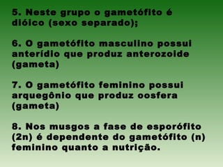 5. Neste grupo o gametófito é
dióico (sexo separado);
6. O gametófito masculino possui
anterídio que produz anterozoide
(gameta)
7. O gametófito feminino possui
arquegônio que produz oosfera
(gameta)
8. Nos musgos a fase de esporófito
(2n) é dependente do gametófito (n)
feminino quanto a nutrição.
 