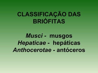 CLASSIFICAÇÃO DAS
BRIÓFITAS
Musci - musgos
Hepaticae - hepáticas
Anthocerotae - antóceros
 