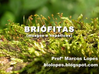BRIÓFITASBRIÓFITAS
(musgos e hepáticas)(musgos e hepáticas)
Profº Marcos Lopes
biolopes.blogspot.com
 
