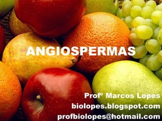 Profº Marcos Lopes
biolopes.blogspot.com
profbiolopes@hotmail.com
ANGIOSPERMAS
 
