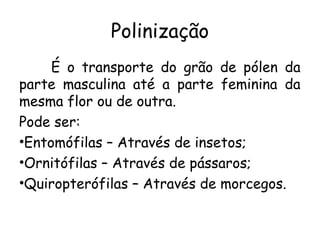 Polinização
É o transporte do grão de pólen da
parte masculina até a parte feminina da
mesma flor ou de outra.
Pode ser:
•Entomófilas – Através de insetos;
•Ornitófilas – Através de pássaros;
•Quiropterófilas – Através de morcegos.
 