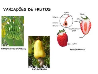 VARIAÇÕES DE FRUTOS
FRUTO PARTENOCÁRPICO
PSEUDOFRUTO
PSEUDOFRUTO
 